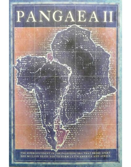 Pangaea II: New Art from Africa & Latin America