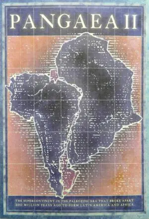 Pangaea II: New Art from Africa & Latin America