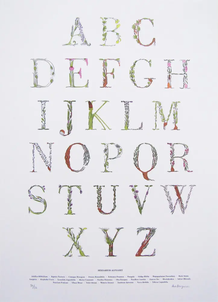 Herbarium Alphabet by Ana Bangueses