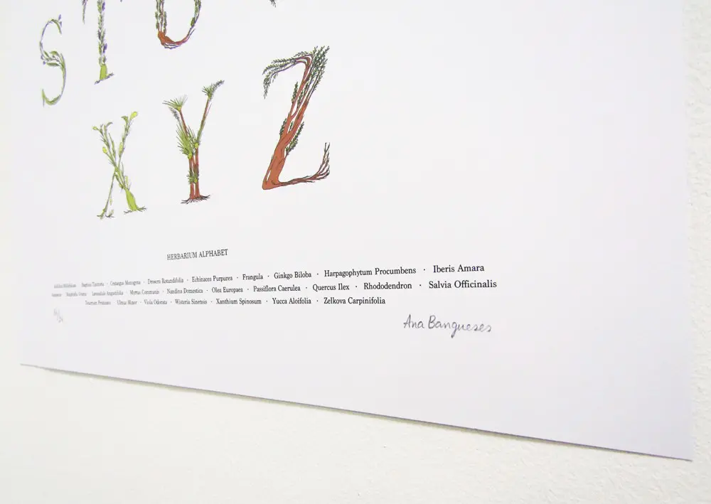 Herbarium Alphabet by Ana Bangueses - Image 3