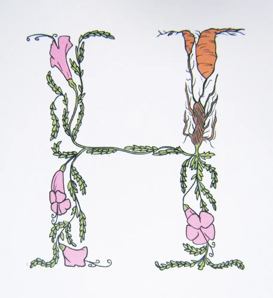 Herbarium Alphabet by Ana Bangueses - Image 4