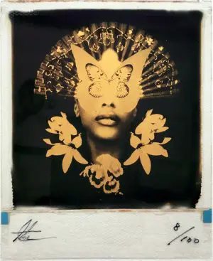 Setting Sun (Gold) by ANDREW MILLAR