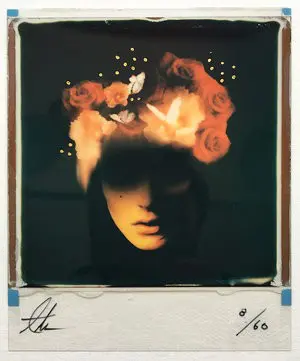 Broken Blossom (Colour) by ANDREW MILLAR