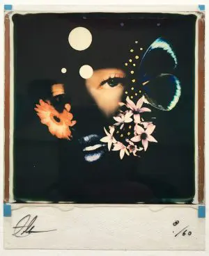 Out of the Shadows (Colour) by ANDREW MILLAR