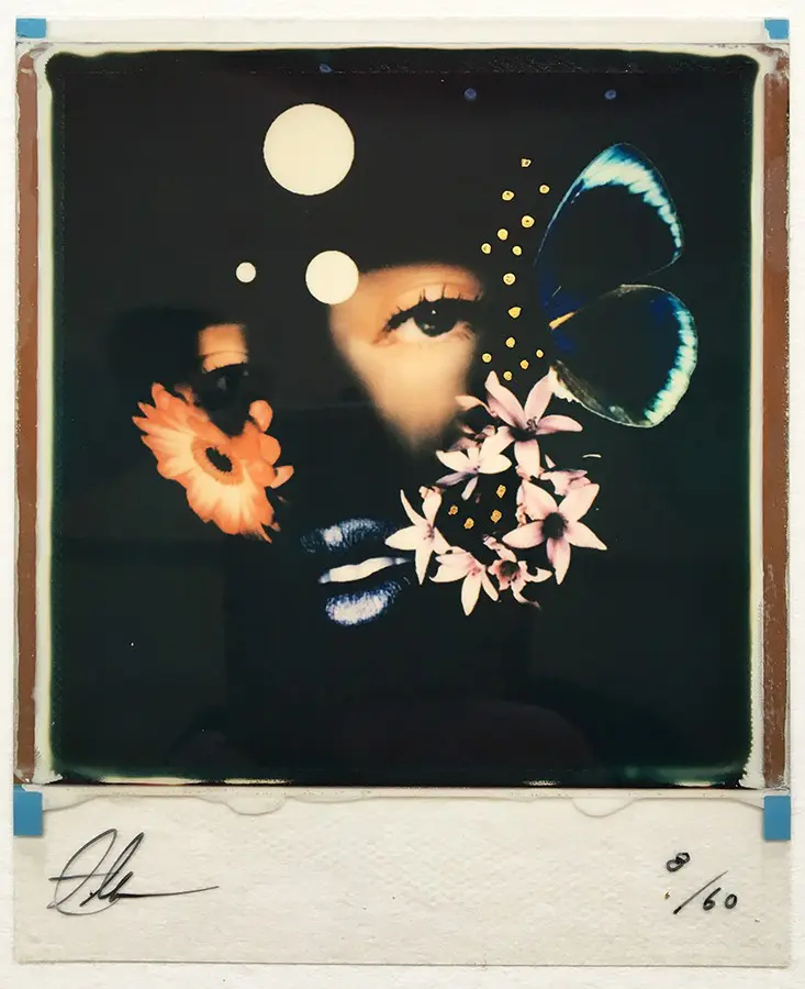 Out of the Shadows (Colour) by ANDREW MILLAR