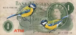 Great Tits Pound by ATM STREET ART