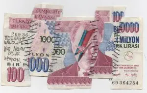 Wildlife Turkish note by TEENAGE