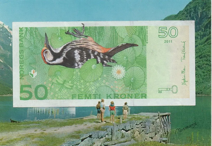 Postcard Norwegian note by MISS PRINTED