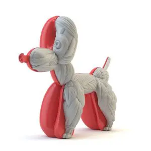 Anatomical Balloon Dog by Whatshisname