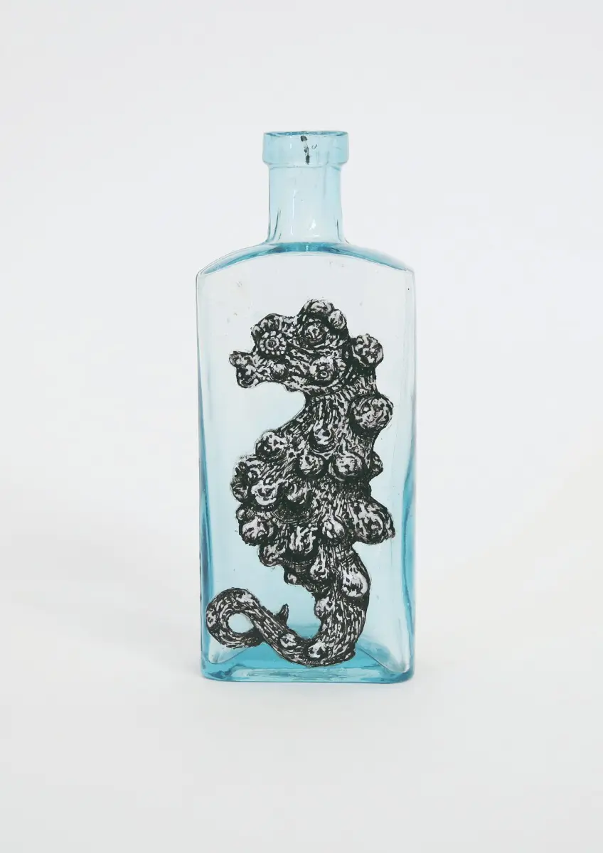 Bargibant’s Seahorse by Lily Mixe