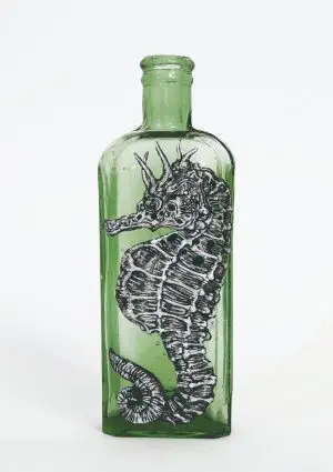 Big belly Seahorse by Lily Mixe