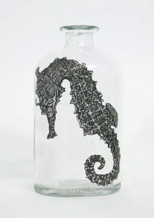 Narrow Bellied Seahorse by Lily Mixe