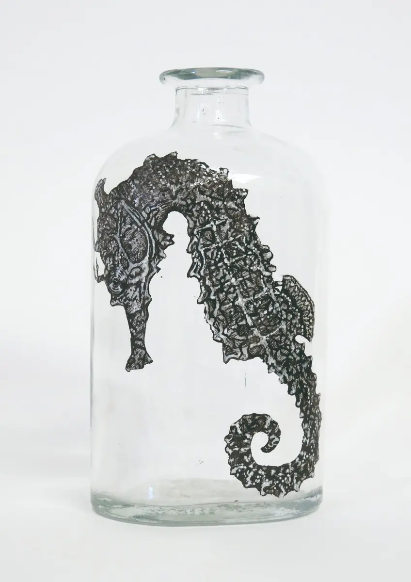 Narrow Bellied Seahorse by Lily Mixe