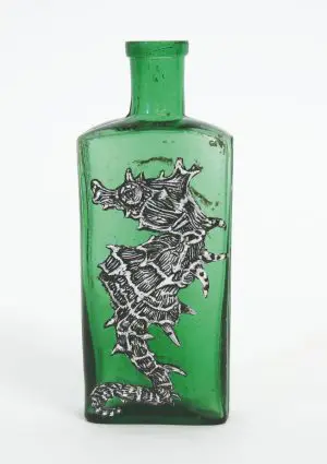 Soft coral Seahorse by Lily Mixe