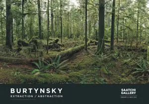 Burtynsky: Extraction / Abstraction Poster: Cathedral Grove