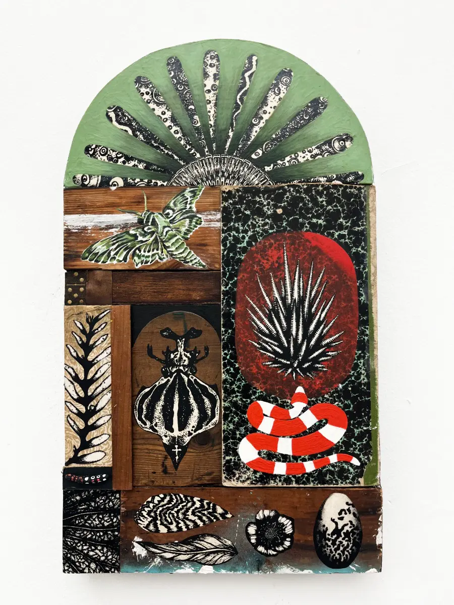 Features Creatures by Lily Mixe