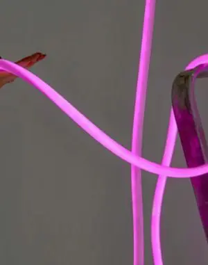 Flex Tube, 5M, Bright Pink By Studio About