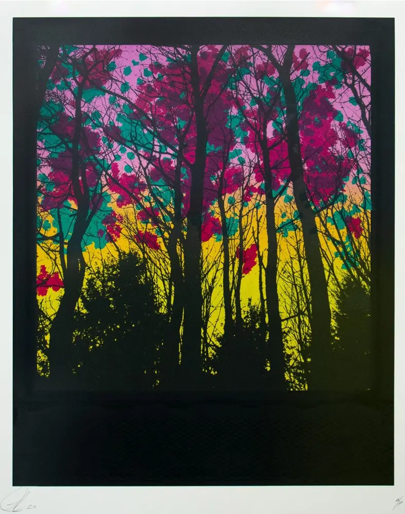 Foris by ANDREW MILLAR - Image 2