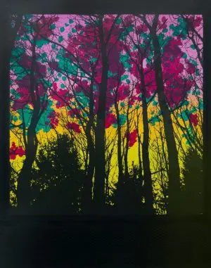 Foris by ANDREW MILLAR