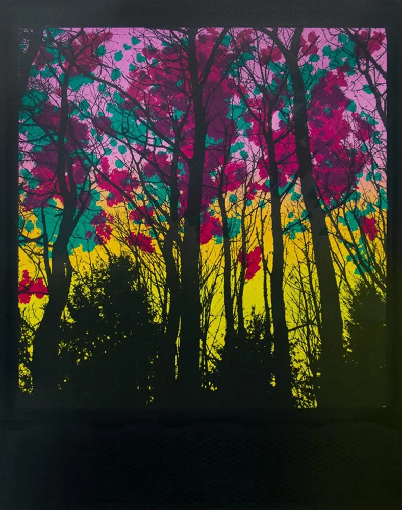 Foris by ANDREW MILLAR