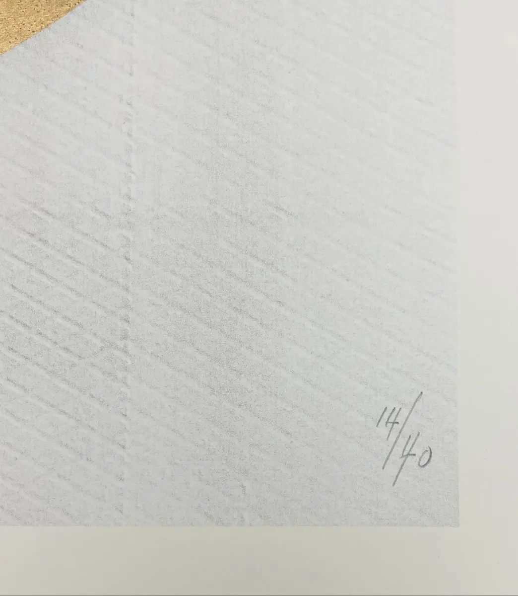 Ripples screen print XL (turquoise face) by Andrew Millar - Image 4