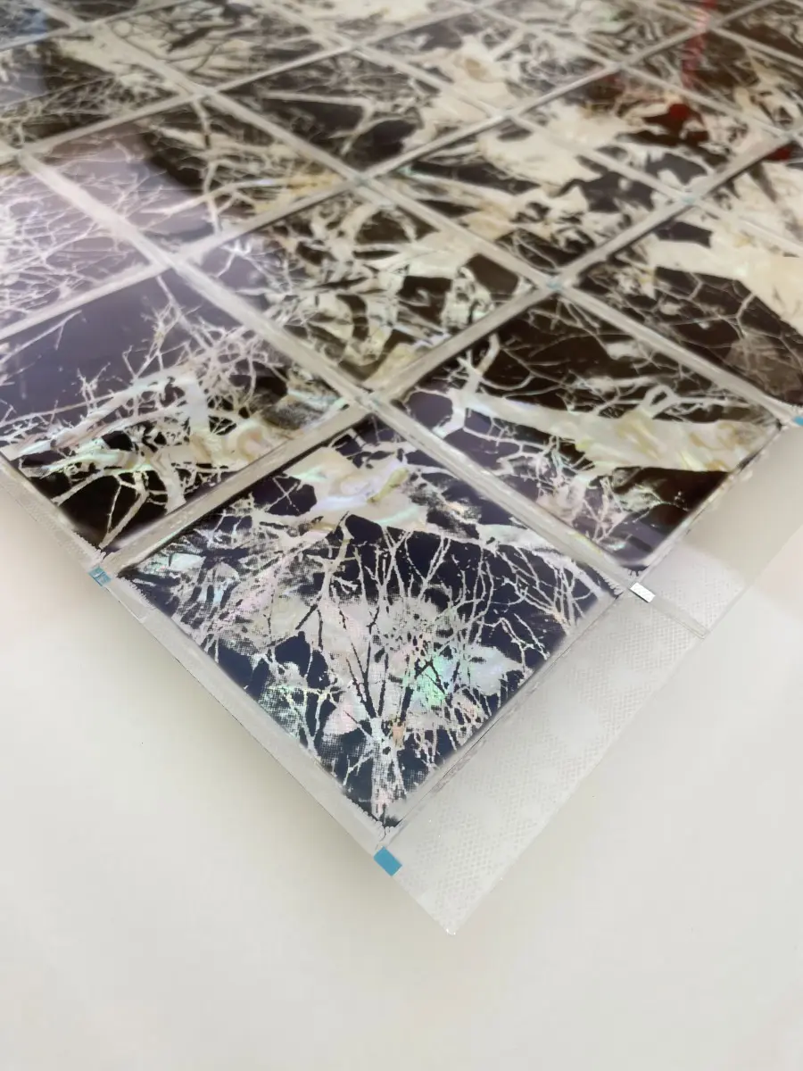 Entwine by Andrew Millar - Image 2