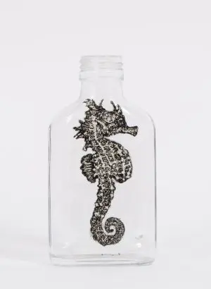 Short-Headed Seahorse by LILY MIXE