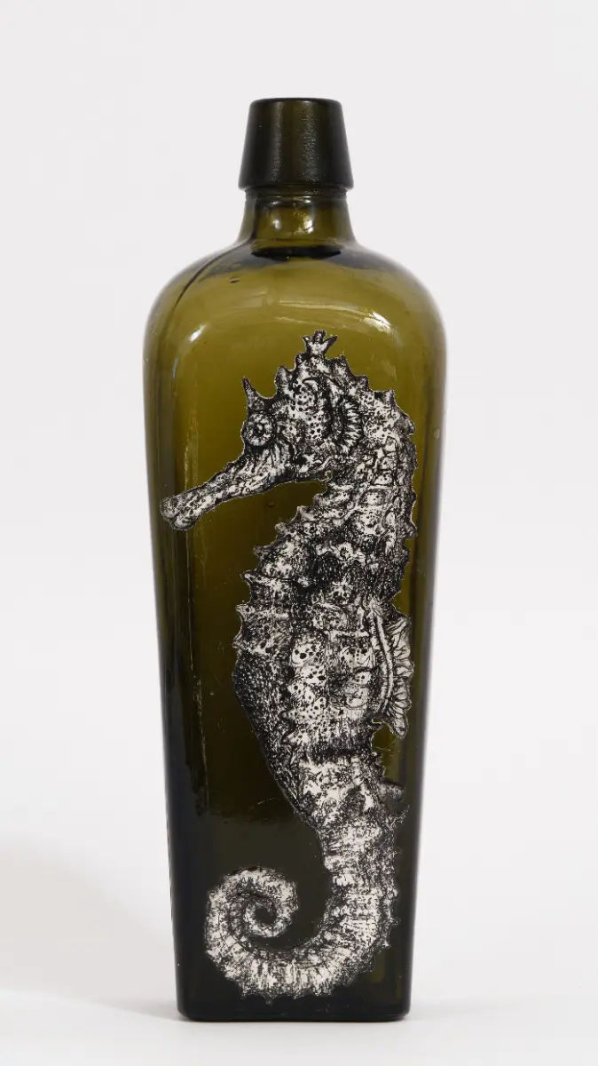 Hedgehog Seahorse by LILY MIXE