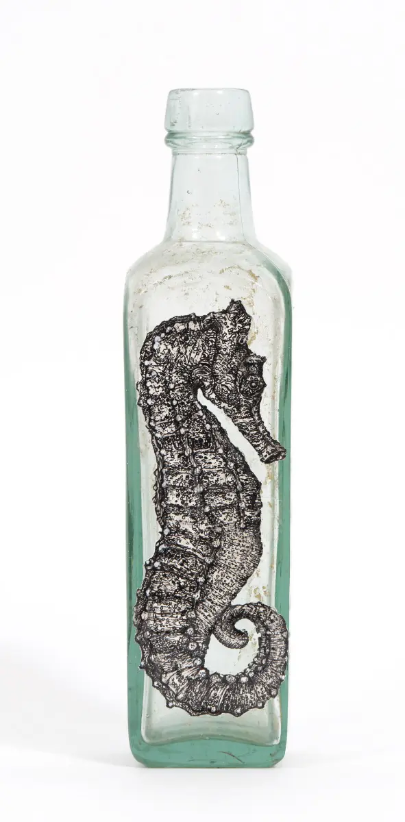 Pacific Seahorse by LILY MIXE