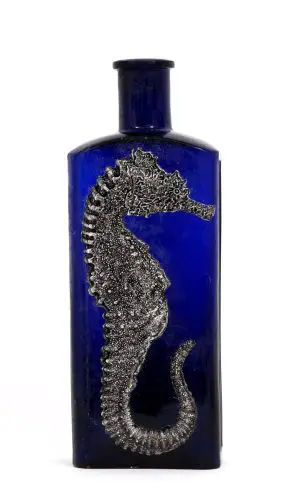 Reunion Seahorse by LILY MIXE