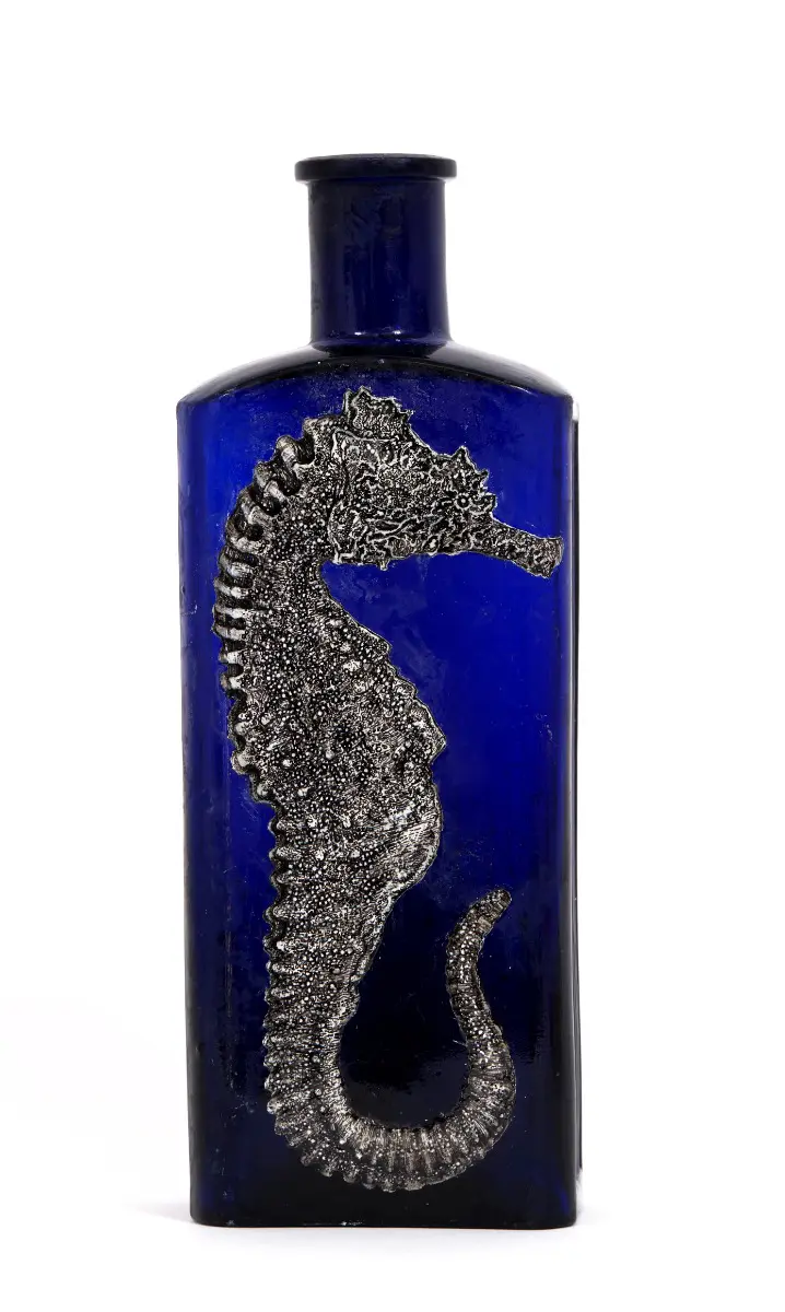 Reunion Seahorse by LILY MIXE