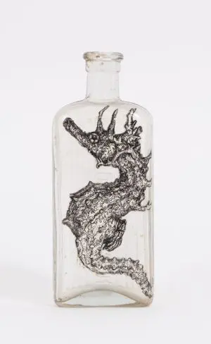 Sindo's Seahorse by LILY MIXE