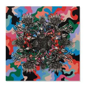 Harmonic Motion - Cepheus (King) by LILY MIXE