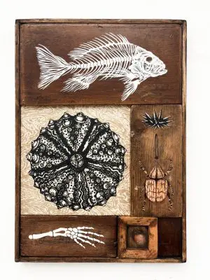 Osselets by Lily Mixe