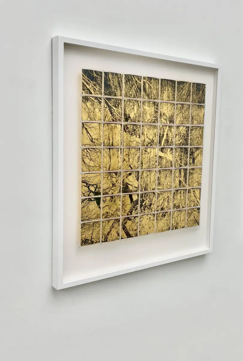 Interlink by Andrew Millar - Image 3