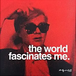 The World By Warhol Mini Print