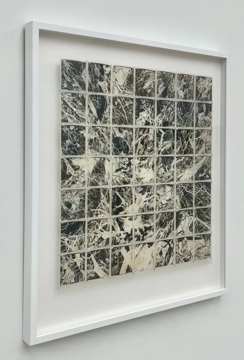 Entwine by Andrew Millar - Image 3