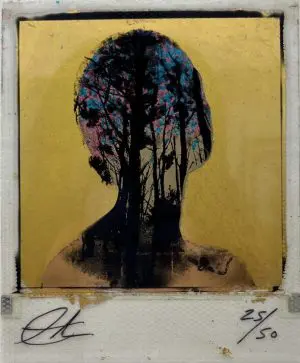 Rise by Andrew Millar