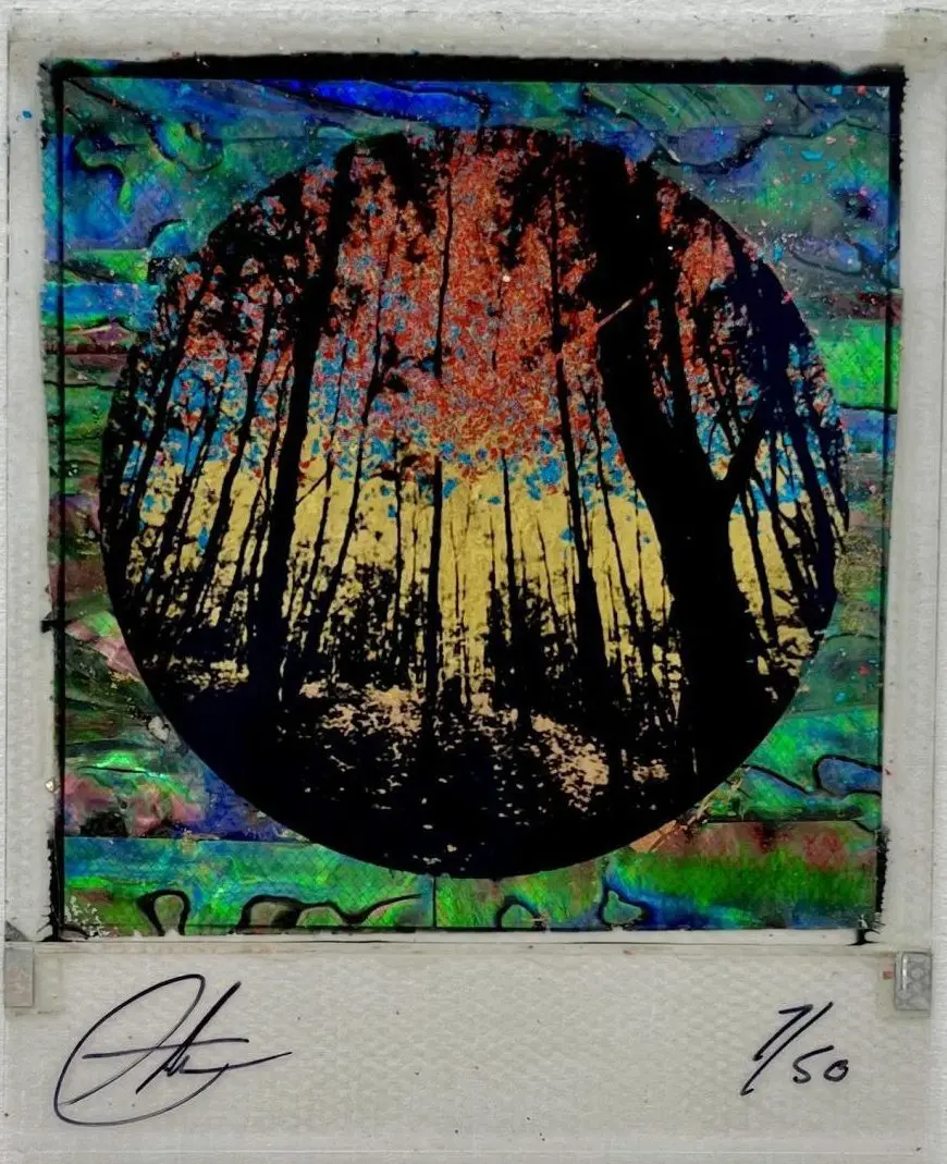 Forest Visions by Andrew Millar