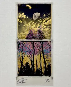 Splitting Of The Light by Andrew Millar