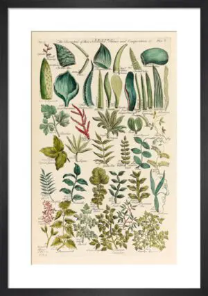 Plate 8 by John Hill Mini Print