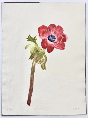 Anemone by Emma Bond