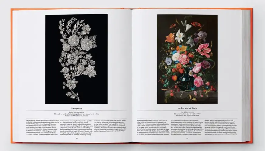 Flower: Exploring the World in Bloom - Image 3