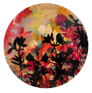 Flowers 9 by Jess Wilson