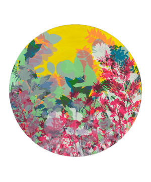 Flowers 8 by Jess Wilson