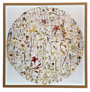 Hortus siccus by Amy Shelton