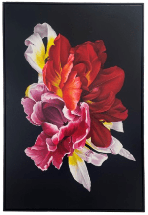 Dance of Collision by Sophie Mess