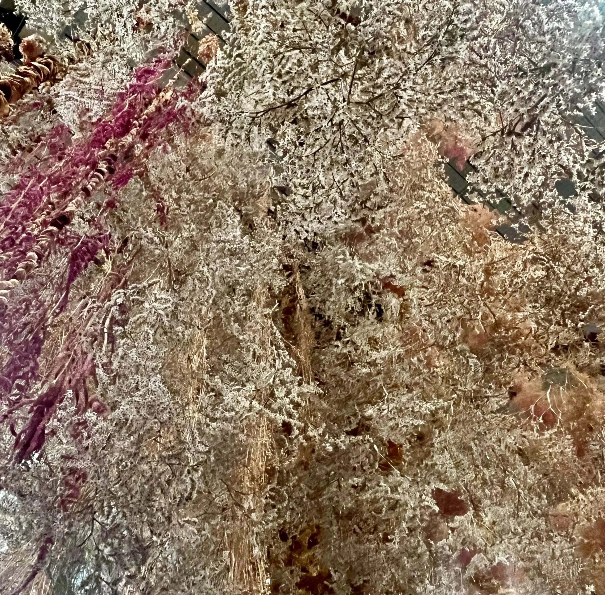 Untitled Botanical Orb (Dust) by Rebecca Louise Law - Image 8