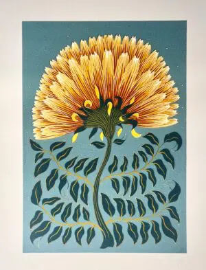 Marigold by Grace Gillespie