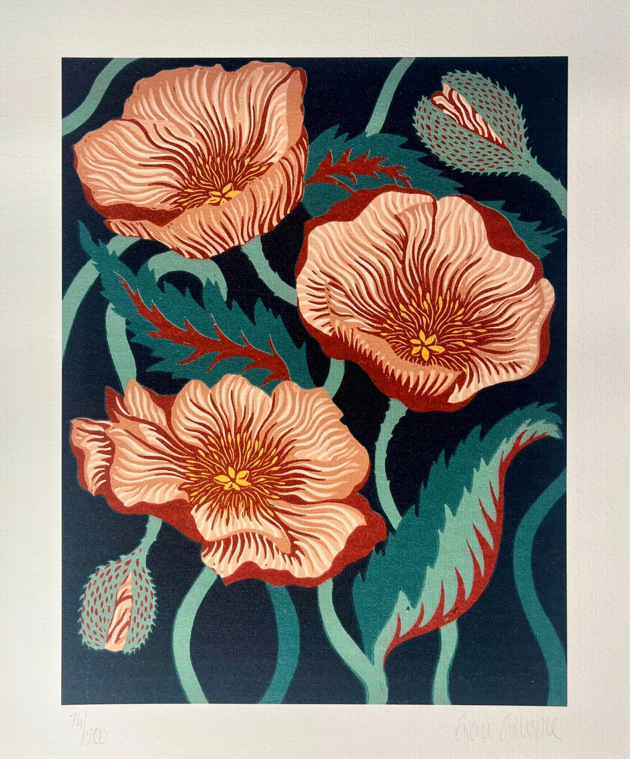 Poppies by Grace Gillespie